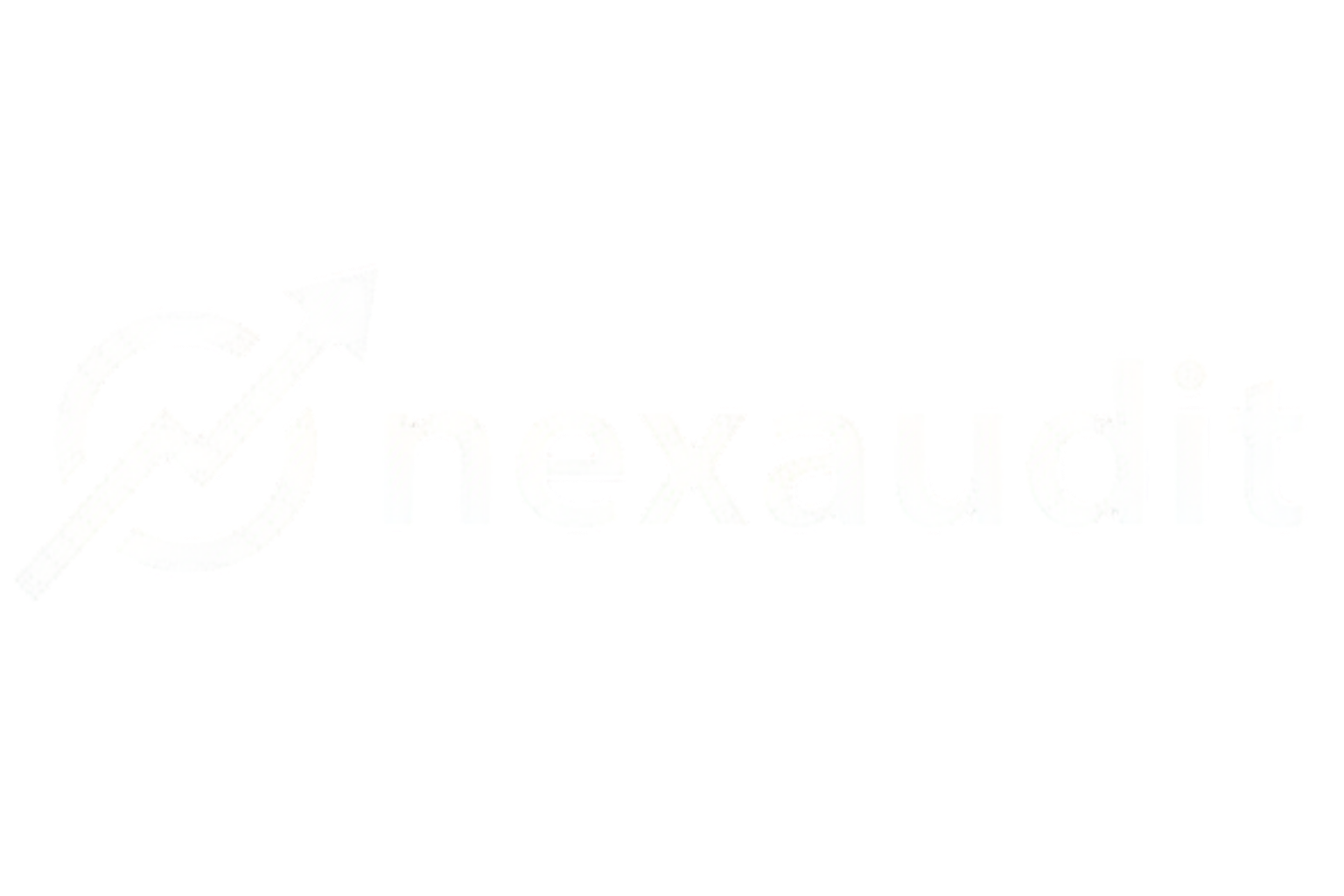 NexAudit